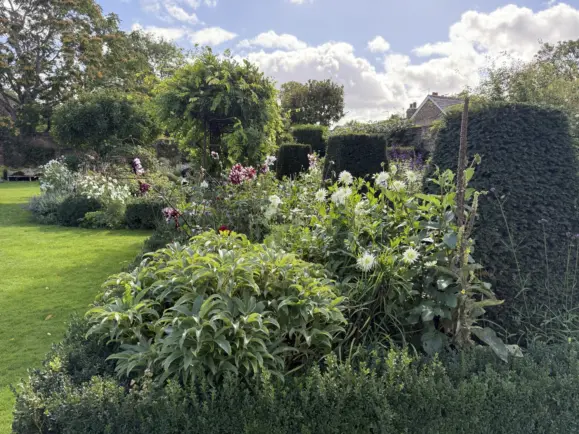 Flower-filled landscaped garden with layered planting