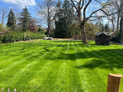Lawn renovation